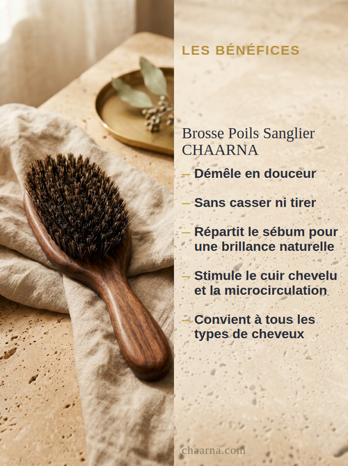✨Brosse poils de Sanglier CHAARNA